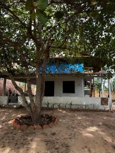 ein Baum vor einem Gebäude mit blauem Dach in der Unterkunft Recanto da Rosa in Santarém