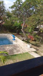 a blue dolphin toy next to a swimming pool at Casa de praia Itamaracá in Itamaracá