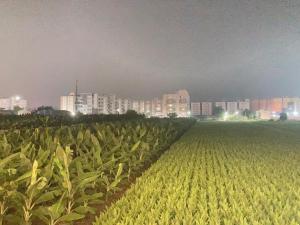 Φωτογραφία από το άλμπουμ του Hotel D Dev σε Krishna Canal