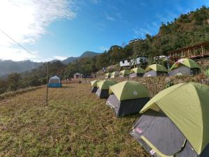Gallery image of Camp Hornbill in Kohīma +3 photos