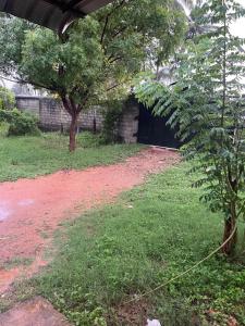 Un camino de tierra con un árbol y un edificio. en Jaffna hotel style, en Jaffna