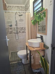 Ένα μπάνιο στο Ti Caz la Zac +85 φωτογραφίες