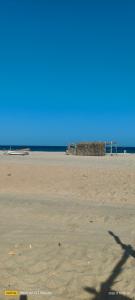 a view of a beach with the ocean in the background at Home of turtles in Al Ḩadd