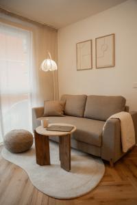 un salon avec un canapé et une table basse dans l'établissement Riversidesuite-Tuebingen, à Tübingen