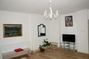 TV a/nebo společenská místnost v ubytování Central flat for your holiday in Karlovy Vary