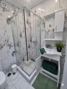 a bathroom with a shower and a sink at CARPE DIEM Unique S&P in Valjevo +52 photos