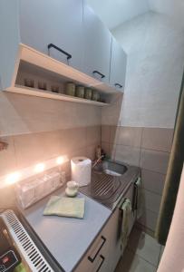 uma pequena cozinha com pia e balcão em CARPE DIEM Unique S&P em Valjevo