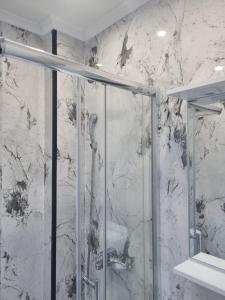 um chuveiro com porta de vidro em um banheiro em CARPE DIEM Unique S&P em Valjevo