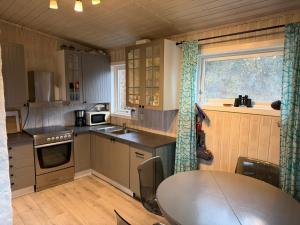 Kuchyň nebo kuchyňský kout v ubytování Beautiful panorama fjord wiew 40 min from Bergen