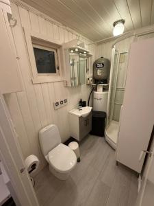 Koupelna v ubytování Beautiful panorama fjord wiew 40 min from Bergen + 46 fotografií