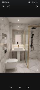 阿斯旺Crystala guest house的带水槽和马桶的白色浴室