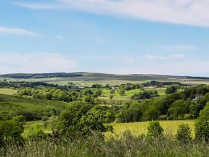 Příroda nedaleko prázdninového domu