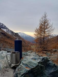 Příroda nedaleko prázdninového domu