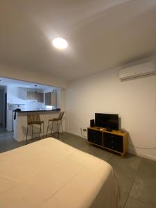 Μια τηλεόραση ή/και κέντρο ψυχαγωγίας στο Monoambiente vista al Rio