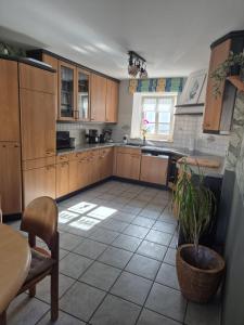 a kitchen with wooden cabinets and a potted plant at Ferienhaus Schilz in Plütscheid