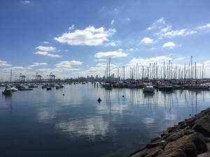 a marina with many boats in the water at Newport Cottage sleeps 5 in Newport