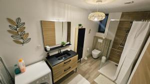 a bathroom with a sink and a shower and a mirror at Studio cosy au calme , Boé in Boé