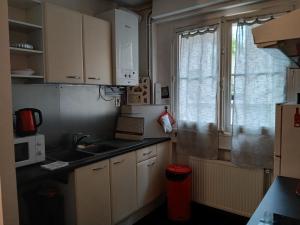 Kuchyň nebo kuchyňský kout v ubytování Charmant appartement au pied du château