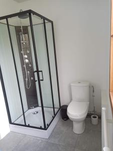 ein Badezimmer mit Dusche und Toilette in der Unterkunft Maison de vacances Ile d'Oléron 2 Chambres in Saint-Pierre-dʼOléron