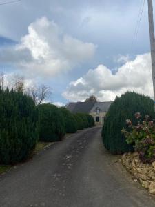 a road leading to a house with bushes at La Criberie in Saint-Ellier-du-Maine