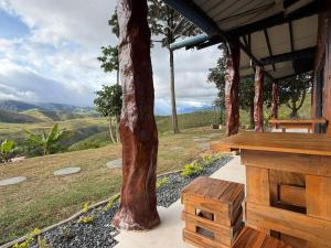 a porch of a tree with a view of the mountains at Finca cerca a Cali El Paraíso de Salo in Papagalleros