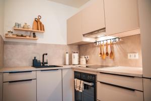 eine Küche mit weißen Schränken und einem Herd mit Backofen in der Unterkunft Riversidesuite-Tuebingen in Tübingen