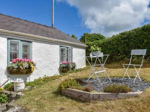 Κήπος έξω από το Tan Bryn - Uk44151