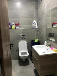 Ένα μπάνιο στο appartement +8 φωτογραφίες