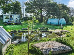 a duck is standing in a pond in a yard at Shepherds Hut - Ukc6774 in Llanallgo +7 photos