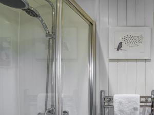a shower with a glass door in a bathroom at Shepherds Hut - Ukc6774 in Llanallgo +7 photos