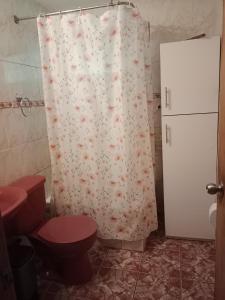 um banheiro com vaso sanitário e cortina de chuveiro em Cabaña familiar para 6 pax en pucon em Pucón
