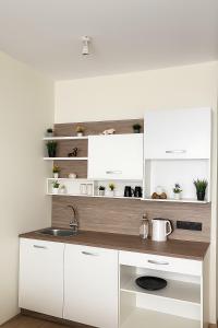 Kuchyň nebo kuchyňský kout v ubytování Ahiva Village + 61 fotografií