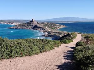 a dirt road leading to a lighthouse on an island in the ocean at Casa del Minatore in Donigala Fenughedu