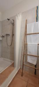 Un baño con ducha y toallero. en Studio Sable 2/4 pers face à la mer, en Sainte-Anne