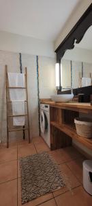 Un baño con lavabo y lavadora. en Studio Sable 2/4 pers face à la mer, en Sainte-Anne