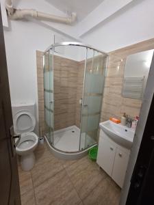 a bathroom with a shower and a toilet and a sink at Crăciun în Centrul Craiovei in Craiova