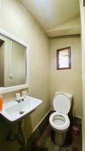 een badkamer met toilet en wastafel bij Minerva Apart in Ranomafana