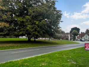 ein Baum an der Straßenseite in der Unterkunft Manor Cottage in Cavendish