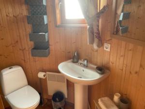 ein Badezimmer mit Waschbecken und Toilette in der Unterkunft Roulotte au domaine du Bouygues in Salvagnac-Cajarc