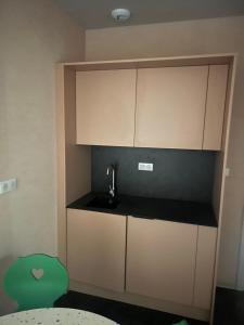 een kleine keuken met een gootsteen en een groene kruk bij Hôtel Kempf in Colmar