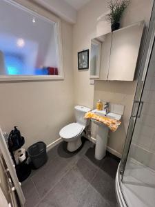 a bathroom with a toilet and a sink and a shower at #81 Stylish Top Floor - for 2 - 10 mins to Brueton Park - " Perfect for Business Traveler and Couple - Free Parking" in Shirley +10 photos
