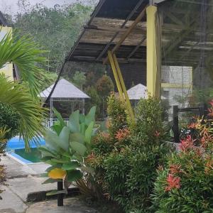 a garden with plants and a swimming pool at Embun Pagi Alami in Telukladang