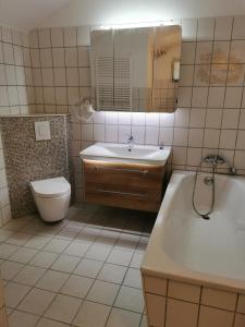ein Badezimmer mit Waschbecken, Toilette und Spiegel in der Unterkunft Gästewohnung Eschefeld in Frohburg