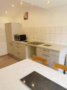 eine Küche mit einer Arbeitsplatte und einer Mikrowelle in der Unterkunft Gästewohnung Eschefeld in Frohburg