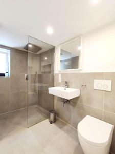 une salle de bain avec toilettes, lavabo et douche dans l'établissement Flair-Apartments 'SALZ & FLAIR' nähe Altstadt, 450 m Bahnhof, für Urlaub oder Geschäftsreise, separater Eingang, 24 Std Check-in,WLAN, 55 Zoll-Fernseher, Streaming, Küche, Regendusche, 1 Doppelbett, 1 Schlafsofa, à Bad Salzuflen