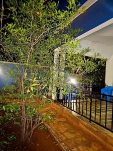 Κήπος έξω από το Kinyanjui's homes 004