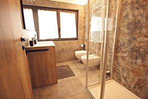 a bathroom with a shower and a toilet and a sink at Guest House Cemin in Predazzo +15 photos