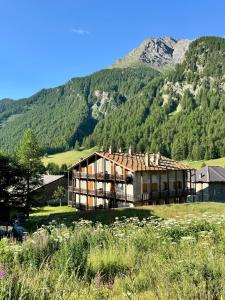 Příroda nedaleko apartmánu