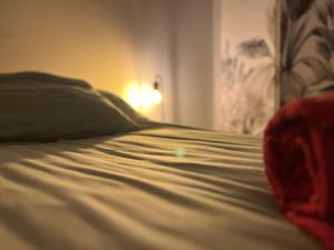 un letto chiuso in una camera da letto di Joli Studio proche CNPE du Blayais a Saint-Aubin-de-Blaye