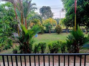 a park with palm trees and a black fence at Sunny Side Villa in Tangalle